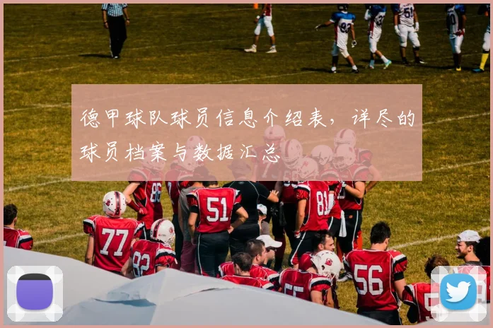 德甲球队球员信息介绍表，详尽的球员档案与数据汇总