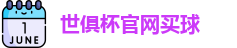 2025世界俱乐部杯